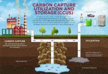 Carbon Capture’s Role in Net-Zero Carbon Capture