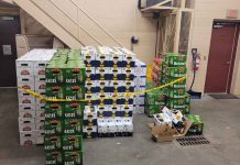 Massive Haul of Beer Seized by OPP after Traffic Stop on Highway 401 The final count stood at 326 cases of 24 beers each, inclusive of various brands, both in bottles and cans.