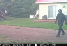 Update: Thunder Bay OPP Seeks Public Help in Serial Break-ins at Shuniah Updated image of Suspect - Thunder Bay OPP Seeks Public Help in Serial Break-ins at Shuniah