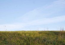 What Every Homeowner Should Know About Grading What property owners need to know about grading