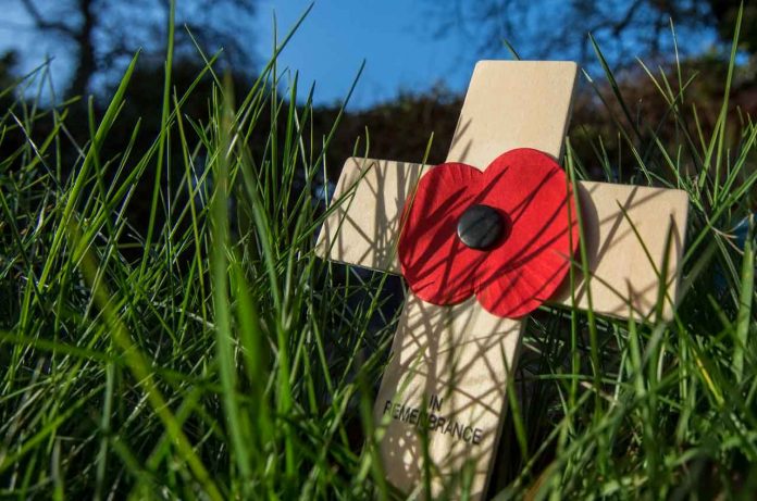 The journey of the poppy from the battlefields of World War I to a symbol of remembrance worldwide is a testament to the enduring power of memory and the universal desire for peace. As we wear our poppies each November, we remember not just the fallen, but also the hope for a world without war.