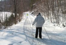 Revisiting the 1995 FIS Nordic World Ski Championships in Thunder Bay Cross-country Skiing