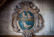 Record-Breaking Results for Repton School’s Swimming Team at the ESSA National Teams Championships Repton School’s swimming team won multiple gold and bronze medals in this year’s English Schools Swimming Association