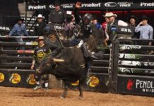 Arizona Brings the Thunder! Ridge Riders Blank Austin as PBR Teams Race Heats Up PBR