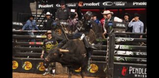 Arizona Brings the Thunder! Ridge Riders Blank Austin as PBR Teams Race Heats Up PBR