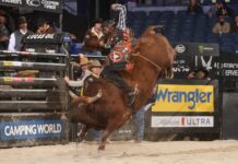 Cassio Dias Wins PBR-Best Third Unleash The Beast Event of the Season In Front of Sold-Out Saturday Night Crowd PBR
