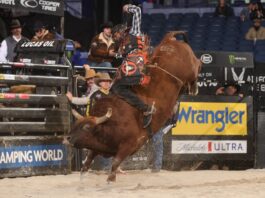 Hudson Bolton stays perfect at PBR World Finals as Crimber leads title race PBR