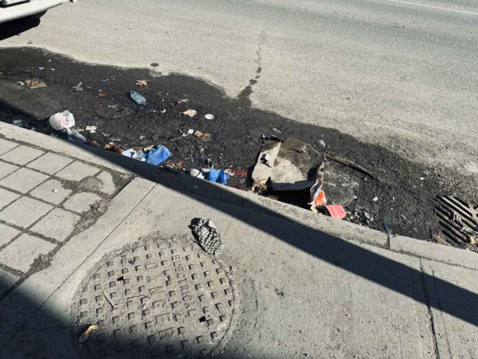 Understanding the Impact of Urban Neglect Through Litter and Disorder