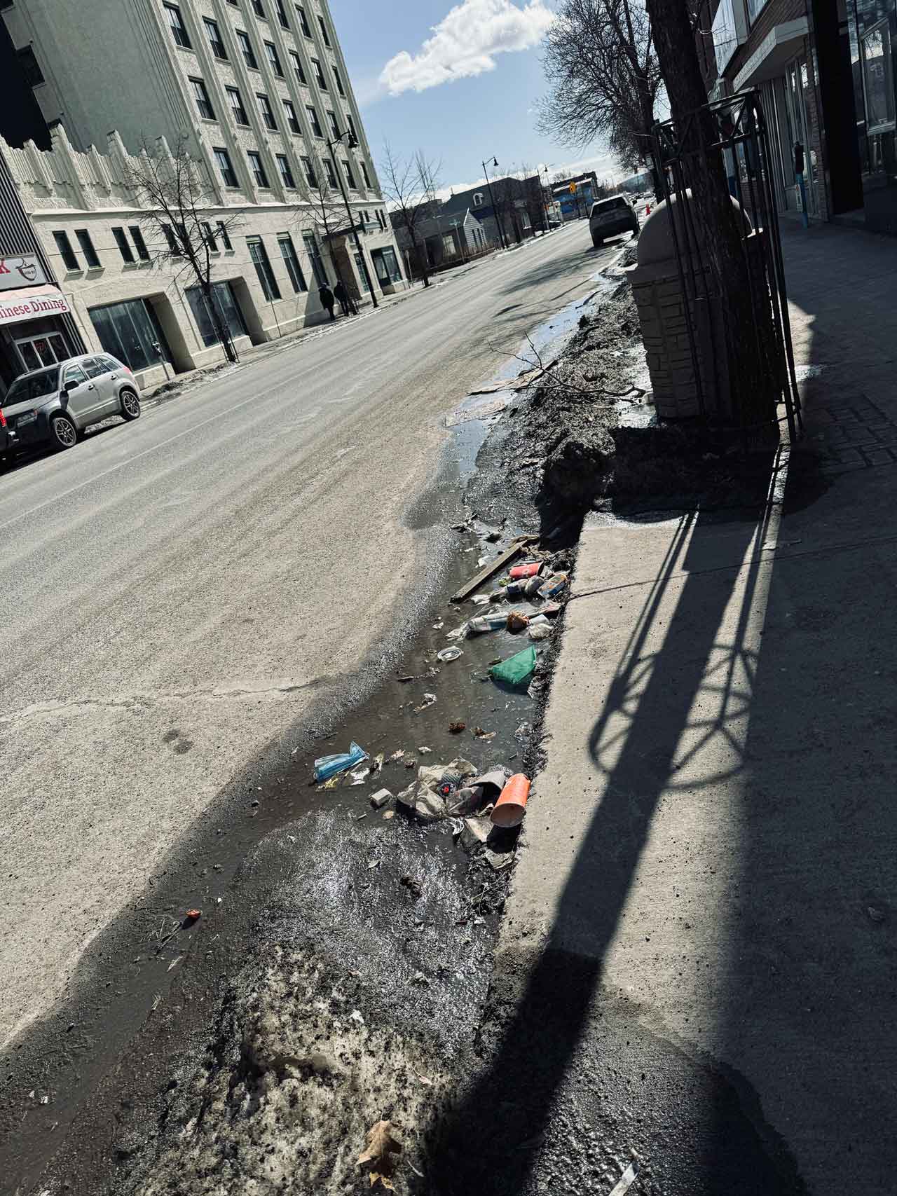 Understanding the Impact of Urban Neglect Through Litter and Disorder
