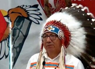 NAN Grand Chief Speaks out on Role Indigenous Searchers Play in Missing Person Cases NAN Grand Chief Fiddler