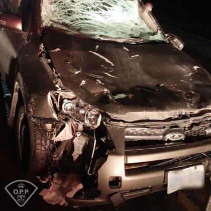 A recent moose collision on Highway 11 near Cochrane highlights the need for caution, offering safety tips to drivers for avoiding wildlife