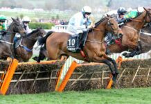 The last five winners of the Supreme Novices’ Hurdle The Supreme Novices’ Hurdle is an exhilarating way to open the Cheltenham Festival, with the famous roar of the crowd sending a chill up your spine