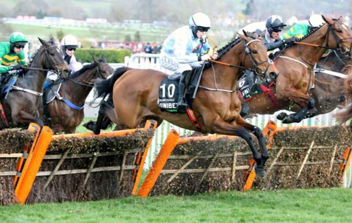 The Supreme Novices’ Hurdle is an exhilarating way to open the Cheltenham Festival, with the famous roar of the crowd sending a chill up your spine