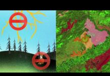 Zombie Fires Under the Snow, Raising Alarm for Canada’s Fire Season Zombie fires smolder under snow in Canada, signaling potential early start to wildfire season amid climate concerns