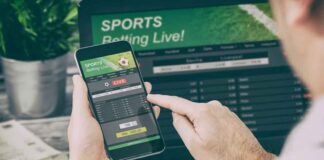 What are Canada’s Most Popular Sports for Bettors? Betting on Sports as a Career: Myths and Reality of Professional Betting