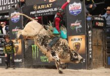 Alan de Souza Seizes Round 1 Win in Front of Sold-Out Gainbridge Fieldhouse in Indianapolis Clay Guiton rides Air Shift for 86.75 points in Round 1 of the 2024 PBR Unleash the Beast Season ARIAT PBR Indianapolis