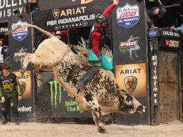 Austin beats Texas, Missouri extends its lead and Jess Lockwood scores 93.90 at PBR Rattler Days Clay Guiton rides Air Shift for 86.75 points in Round 1 of the 2024 PBR Unleash the Beast Season ARIAT PBR Indianapolis