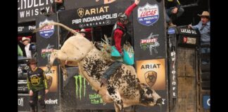 Austin beats Texas, Missouri extends its lead and Jess Lockwood scores 93.90 at PBR Rattler Days Clay Guiton rides Air Shift for 86.75 points in Round 1 of the 2024 PBR Unleash the Beast Season ARIAT PBR Indianapolis