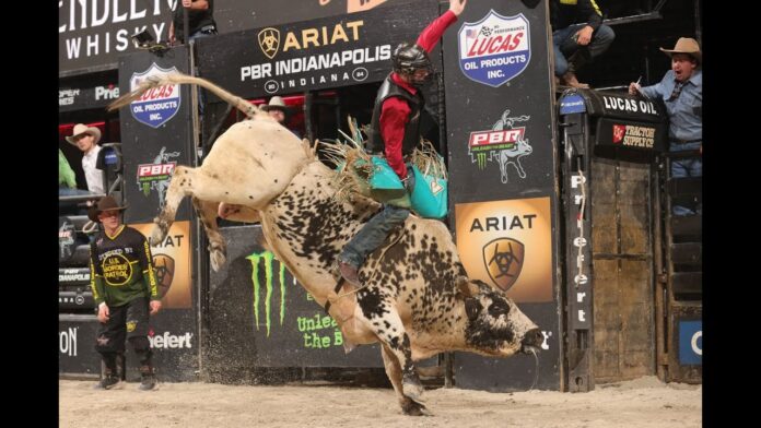 Clay Guiton rides Air Shift for 86.75 points in Round 1 of the 2024 PBR Unleash the Beast Season ARIAT PBR Indianapolis