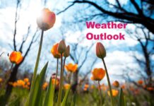 July 14, 2025 – Fort Frances and Surrounding First Nations Weather & Air Quality Report Spring weather