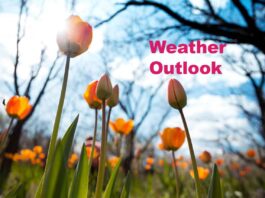 April 23, 2026: Geraldton’s Weather Update Brings Chilly Rain, Freezing Rain Risk, and a Better Weekend Ahead Spring weather