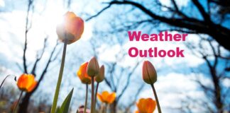 March 25, 2026: Thunder Bay Faces a Snowy Midweek Weather Shift with Freezing Rain Risk Tonight Spring weather