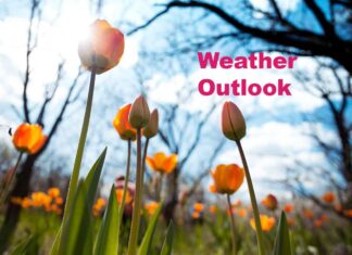 March 25, 2026: Thunder Bay Faces a Snowy Midweek Weather Shift with Freezing Rain Risk Tonight Spring weather