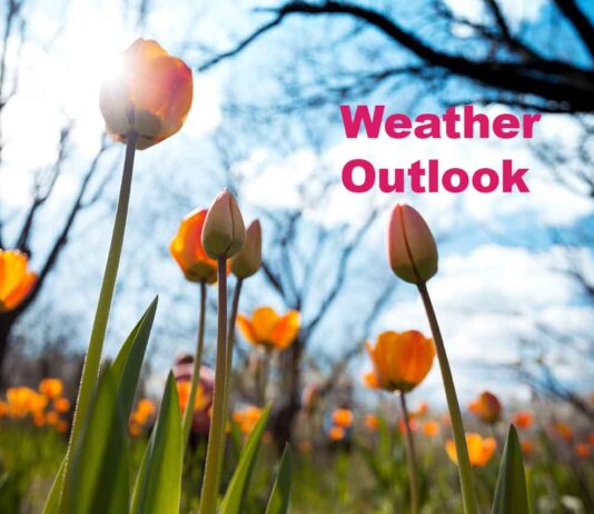 June 14, 2026: Thunder Bay Weather Focus — Cool Start, Breezy Northwest Winds, and a Few Showers Possible Spring weather