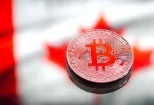 Stock Market – What to Expect November 11 to 15 2024? Image by pvproductions on Freepik