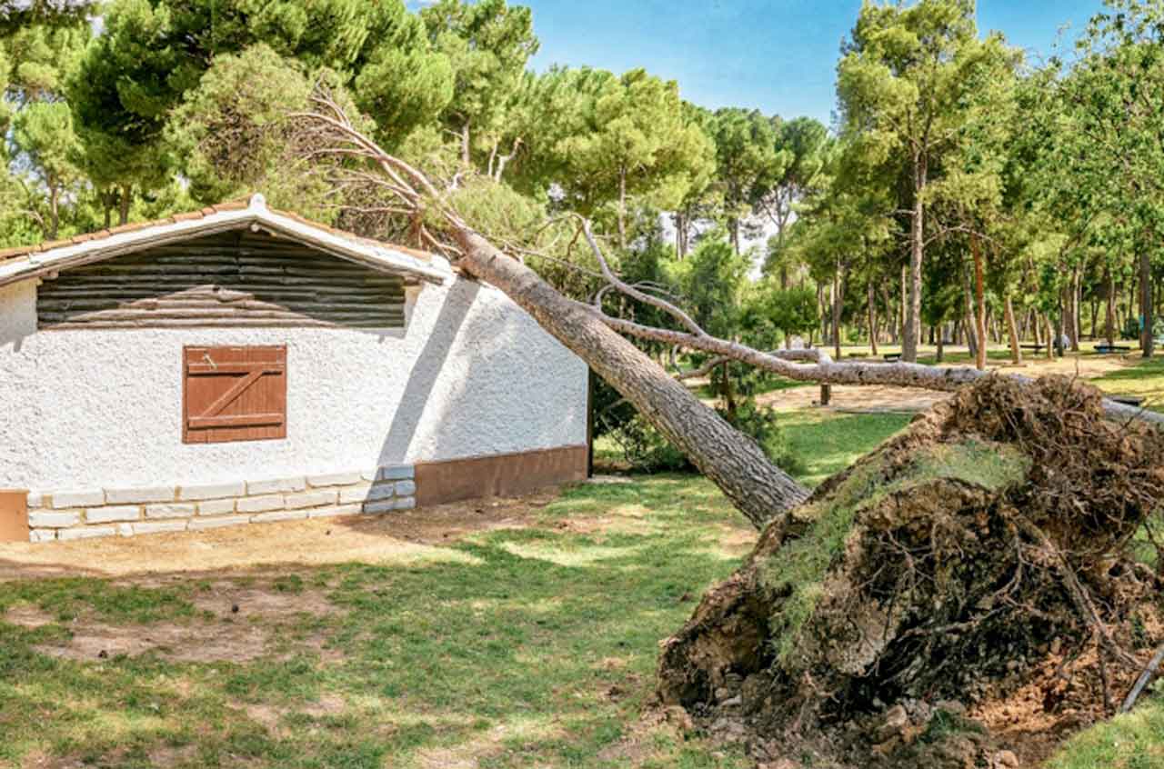 Next up, we’ll talk about how important it is to be prepared for hurricanes and storms. Florida's position makes it a hotspot for hurricanes and tropical storms