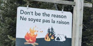 Fire Ban in Effect in Neebing Effective July 13 2026 Northwest Region Forest Fire Situation Update