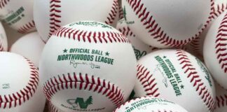 Thunder Bay Border Cats seek host families for upcoming season The Thunder Bay Border Cats are set for a great Friday night home opener.