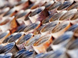 The Canadian Chrome Company Inc. and The Future of The Ring of Fire Mining - Image Kevin Palmer Creative all rights reserved