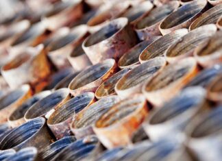 The Canadian Chrome Company Inc. and The Future of The Ring of Fire Mining - Image Kevin Palmer Creative all rights reserved