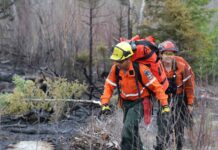 Northwest Fire Region Update: Kenora 14 Holds at 1,027 Hectares as New Fires Emerge Near Fort Frances and Maynard Lake Wildland Firefighters - Image AFFES