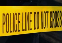 Thunder Bay Police Log 900 Calls in Seven Days Police Line