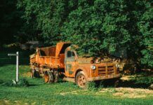 Why You Should Not Leave Your Junk Car in Your Yard Why You Should Not Leave Your Junk Car in Your Yard