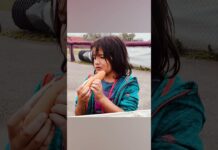 Play Ball! The Family Fun of Setting a Border Cats Baseball Tradition Border Cats Baseball