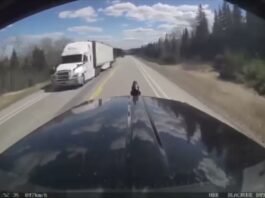 Northern Municipal Leaders United in Call for Federal Partnership on Highways 11 and 17 Highway 17