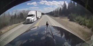 NDP says Northern highways need action, while Ford promises enforcement and upgrades Highway 17