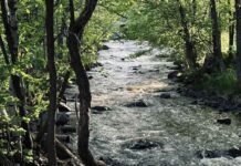 Landscaping: Where Nature and Design Elope McVicar's Creek in Thunder Bay