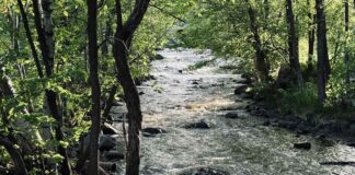 Thunder Bay weather for September 8-10, 2026 McVicar's Creek in Thunder Bay