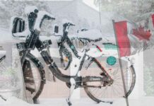 Canada Forecast: Weather Outlook for November 30, December 1, 2, and 3 2024 Garage Door Safety Tips for Canada's Harsh Weather Conditions