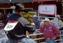 Calgary Stampede Weather Outlook: Heat Warning Continues