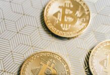 Turn Bitcoin into a real yield source with Katana and hassle-free DeFi Bitcoin crytp casino