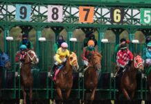 Secure Your Spot: Exploring the Best Ticket Options for the 2024 Breeders’ Cup at Del Mar Secure Your Spot: Exploring the Best Ticket Options for the 2024 Breeders' Cup at Del Mar