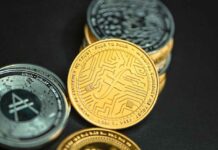 How Fond Are Canadians of New Crypto Coins? New Crypto Coins