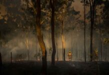 117 active wildland fires in the Northwest Region, Major Fires near Thunder Bay, Atikokan, Cat Lake, Brightsand and Highway 599 Wildfire Damage