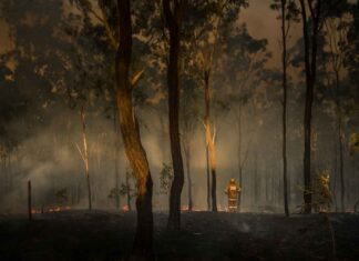 117 active wildland fires in the Northwest Region, Major Fires near Thunder Bay, Atikokan, Cat Lake, Brightsand and Highway 599 Wildfire Damage