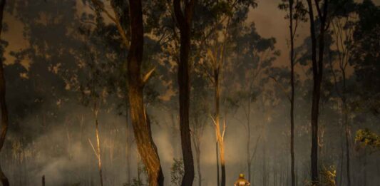 117 active wildland fires in the Northwest Region, Major Fires near Thunder Bay, Atikokan, Cat Lake, Brightsand and Highway 599 Wildfire Damage